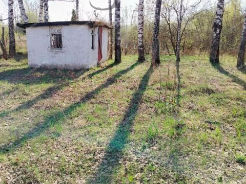 derevnya-zolotovo-gorodskoy-okrug-bor фото