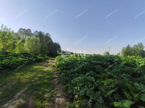 derevnya-maloe-chuhovo-gorodskoy-okrug-chkalovsk фото