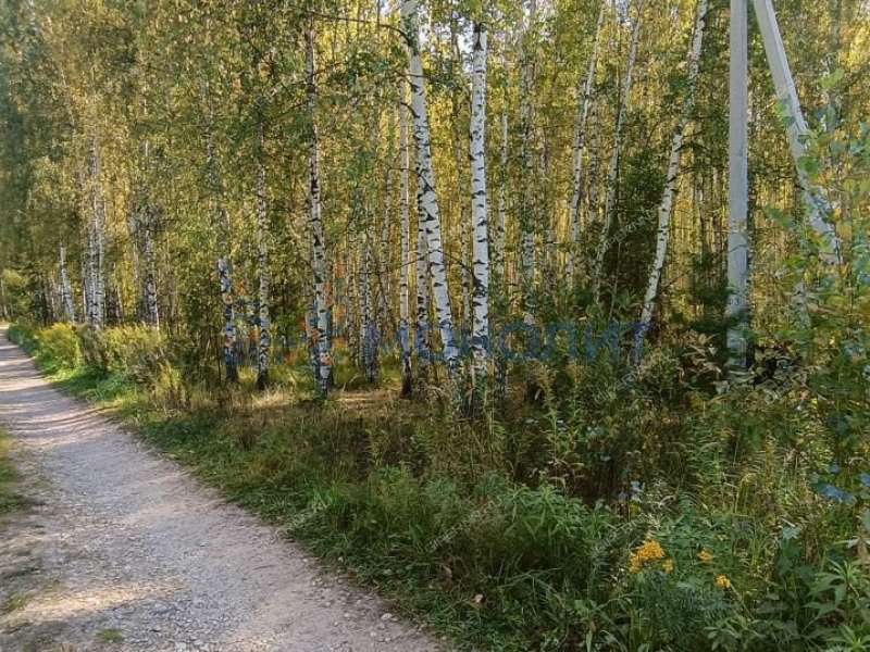 земельный участок 30 соток ТИЗ Елховка - Березовая улица село Елховка