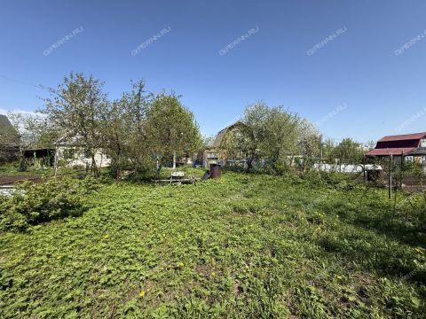 dacha фото