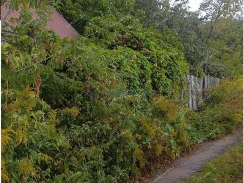 земельный участок 8,1 сотки Деловая улица