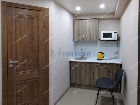 ul-germana-lopatina-d-12-k1 фото