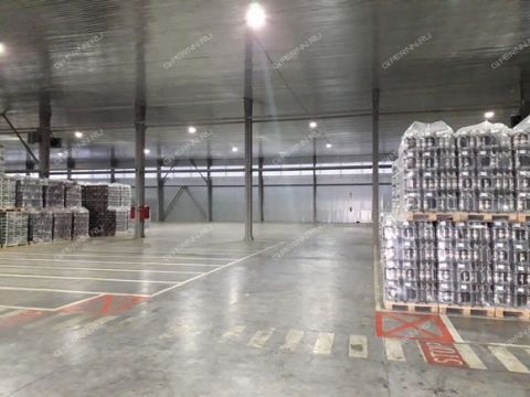 chaadaeva-ul-d-1rk2 фото