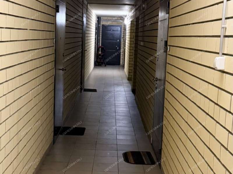 однокомнатная квартира на Школьной улице дом 28 посёлок Ждановский