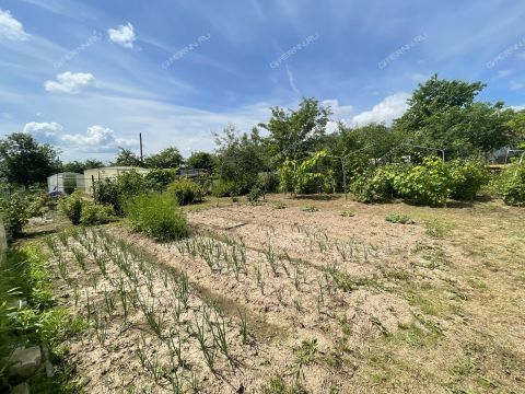 dacha-druzhba-86-snt-kstovskiy-rayon фото