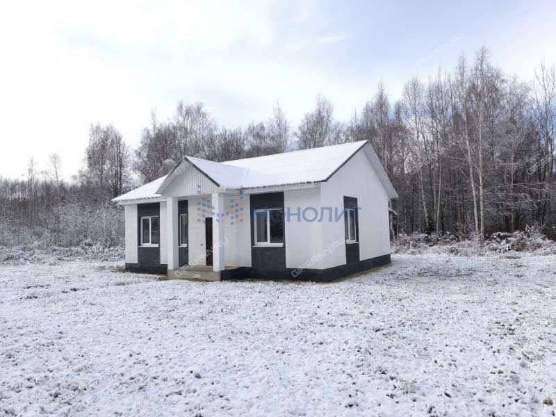 дом на улице Коновалова город Кстово