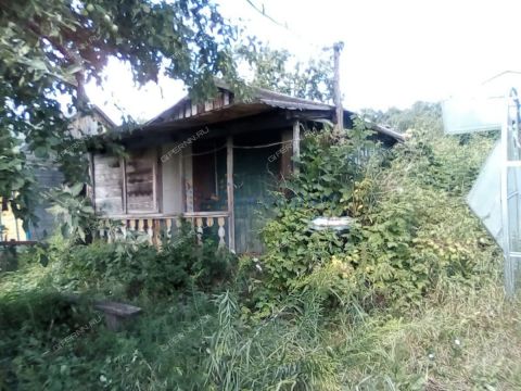 dacha-derevnya-shoniha-bogorodskiy-municipalnyy-okrug фото