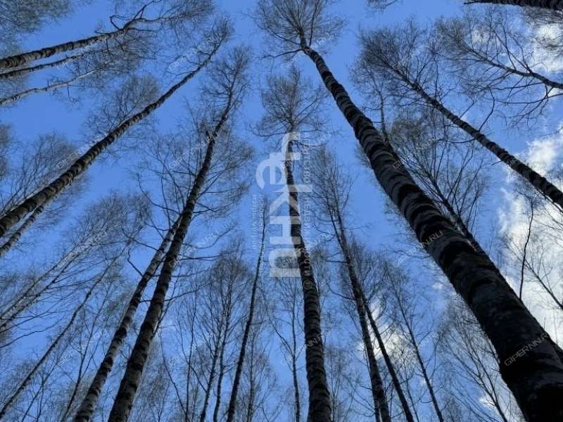 земельный участок 10,1 сотки Волжская деревня Кудрино