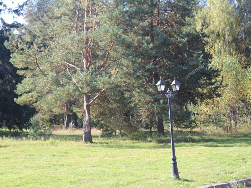 готовый бизнес база отдыха на горьковском море в городском округе Сокольский Нижегородской области