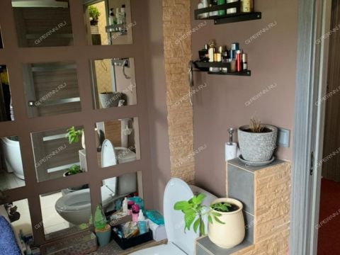 dom-selo-borkovka-gorodskoy-okrug-vyksa фото