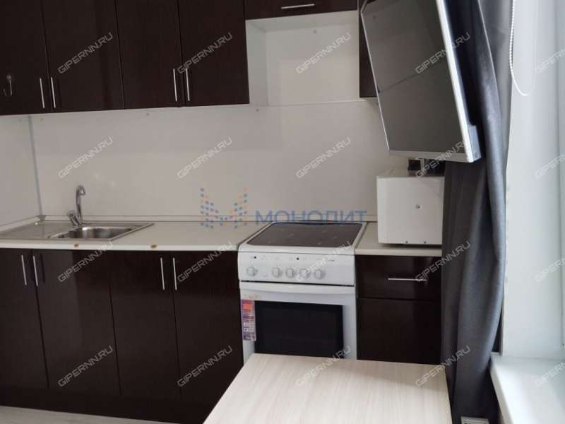 однокомнатная квартира на Русской улице улице дом 4 деревня Анкудиновка