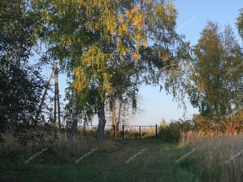derevnya-kamenka-kstovskiy-rayon фото