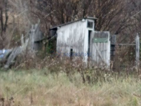 dom-derevnya-chernaya-maza-lyskovskiy-municipalnyy-okrug фото