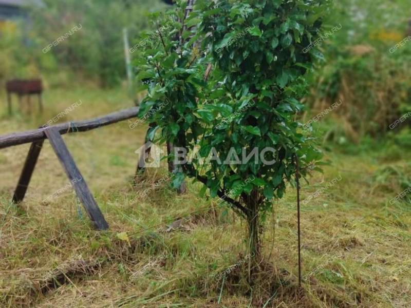 дом на  деревня Белкино, Ямновский сельсовет