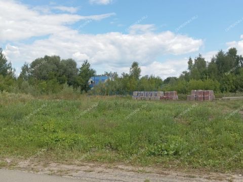 gorod-bogorodsk-bogorodskiy-municipalnyy-okrug фото