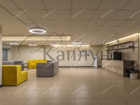 sh-moskovskoe-d-117 фото