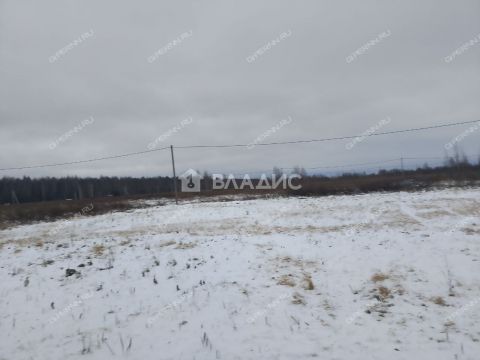 selo-bezvodnoe-kstovskiy-rayon фото