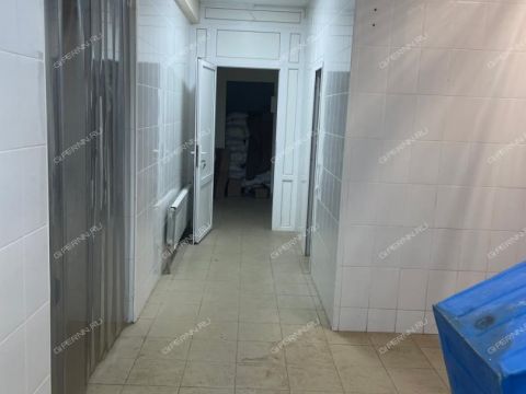 rabochiy-poselok-neklyudovo-gorodskoy-okrug-bor фото