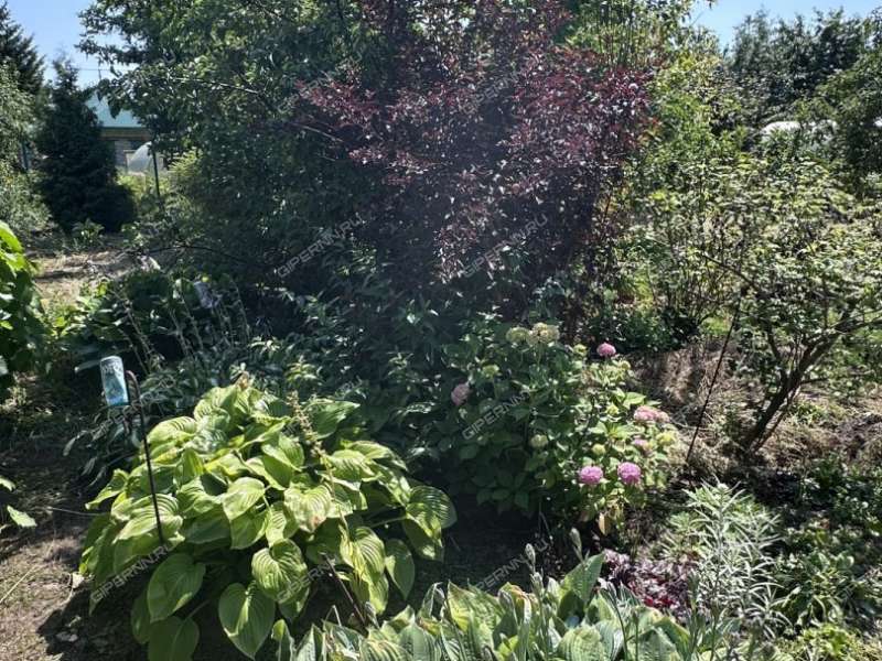 дача на СНТ Приволжье-2 сад город Кстово