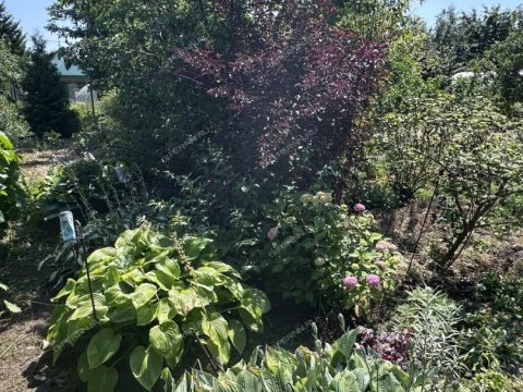 dacha-gorod-kstovo-kstovskiy-rayon фото