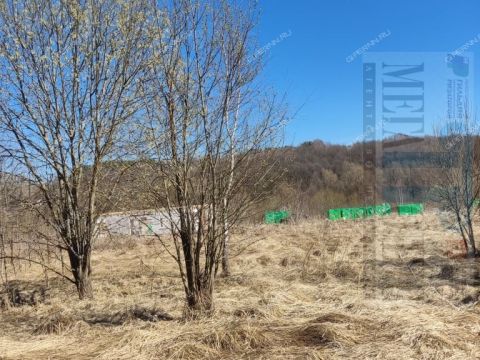 derevnya-shumilovo-bogorodskiy-municipalnyy-okrug фото