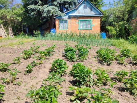 dacha-40-let-oktyabrya-ter-snt фото