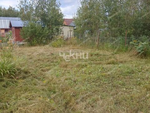 dacha-derevnya-uspene-semenovskiy-gorodskoy-okrug фото