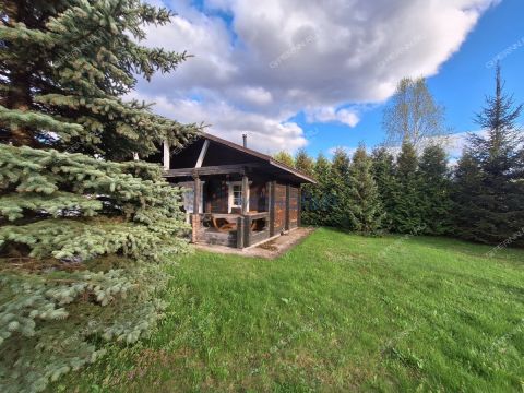 dom-derevnya-vatoma-redkinskiy-selsovet-gorodskoy-okrug-bor фото