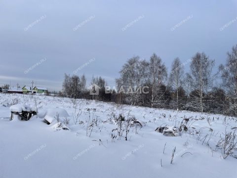 derevnya-podvaliha-kstovskiy-rayon фото