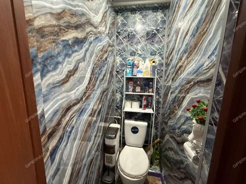 трёхкомнатная квартира на улице Дьяконова дом 24а