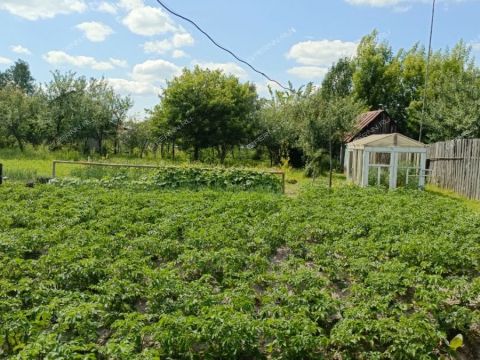 dom-rabochiy-poselok-doschatoe-gorodskoy-okrug-vyksa фото