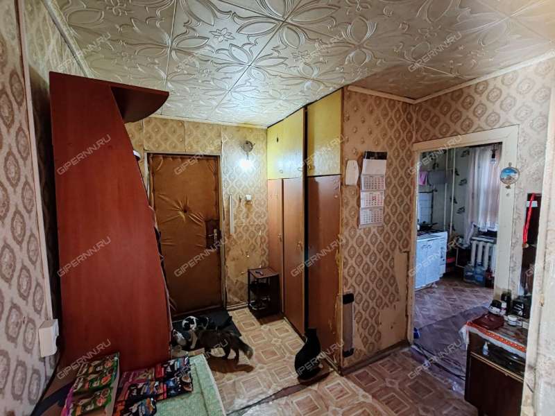 трёхкомнатная квартира на улице Молькова дом 38 деревня Прокошево