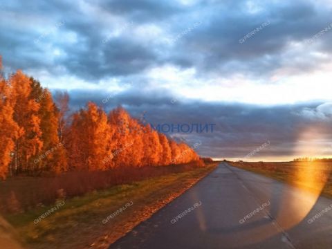 dom-derevnya-sosnovka-spasskiy-rayon фото