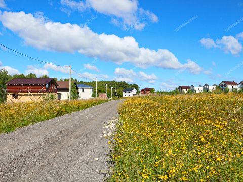 derevnya-burcevo-bogorodskiy-municipalnyy-okrug фото