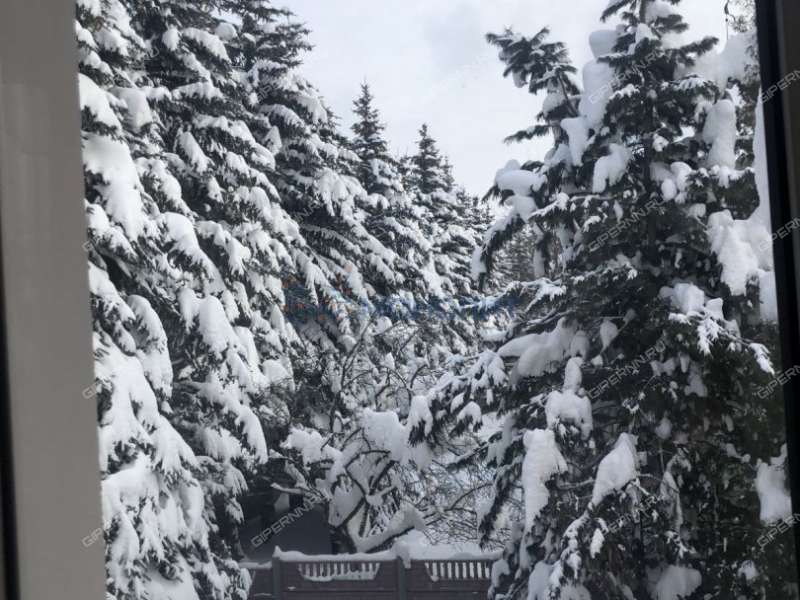 земельный участок 22 сотки Лесная улица село Останкино