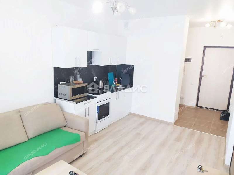 однокомнатная квартира на Русской улице улице дом 16 деревня Анкудиновка