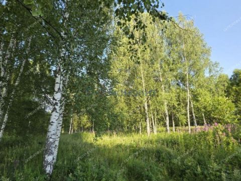selo-yakovlevka-diveevskiy-municipalnyy-okrug фото