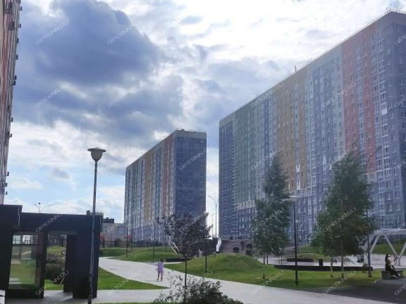 двухкомнатная квартира на Русской улице улице дом 7 деревня Анкудиновка