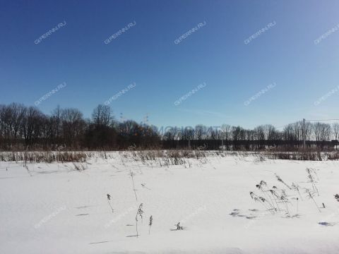 derevnya-burcevo-bogorodskiy-municipalnyy-okrug фото