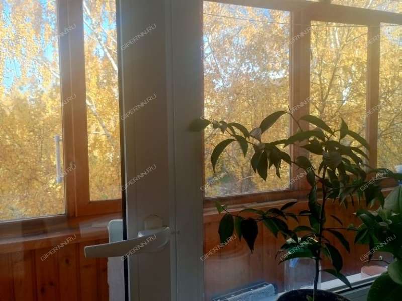 однокомнатная квартира на улице Ступишина дом 3 город Кстово