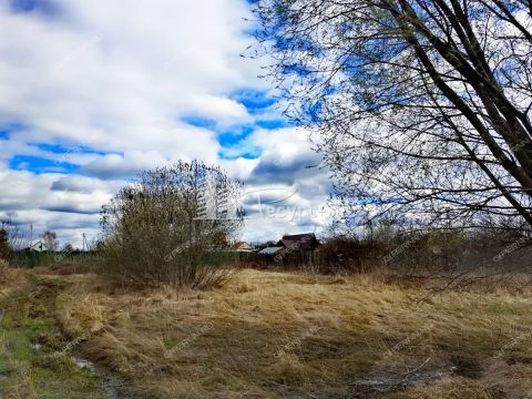 derevnya-zmeyka-gorodskoy-okrug-vyksa фото