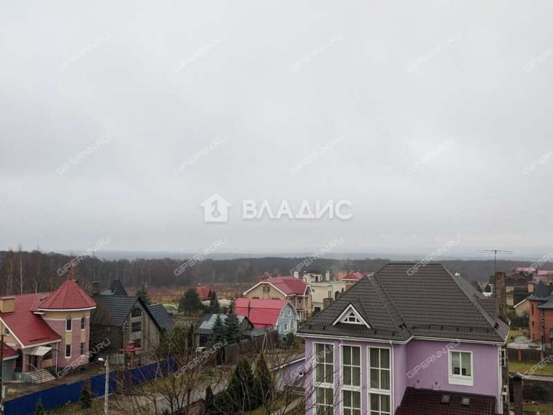 дом на Новой улице деревня Козловка, Ройкинский сельсовет