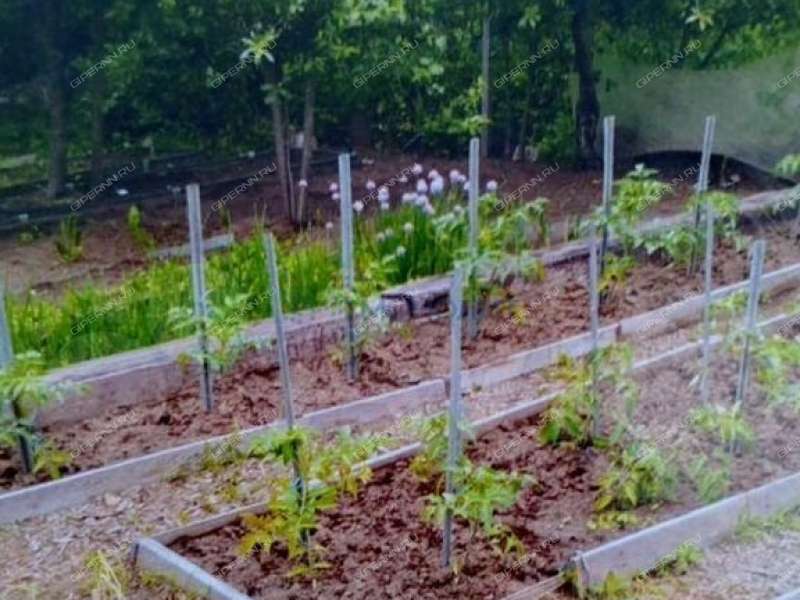 1/2 дома на Бутырской улице