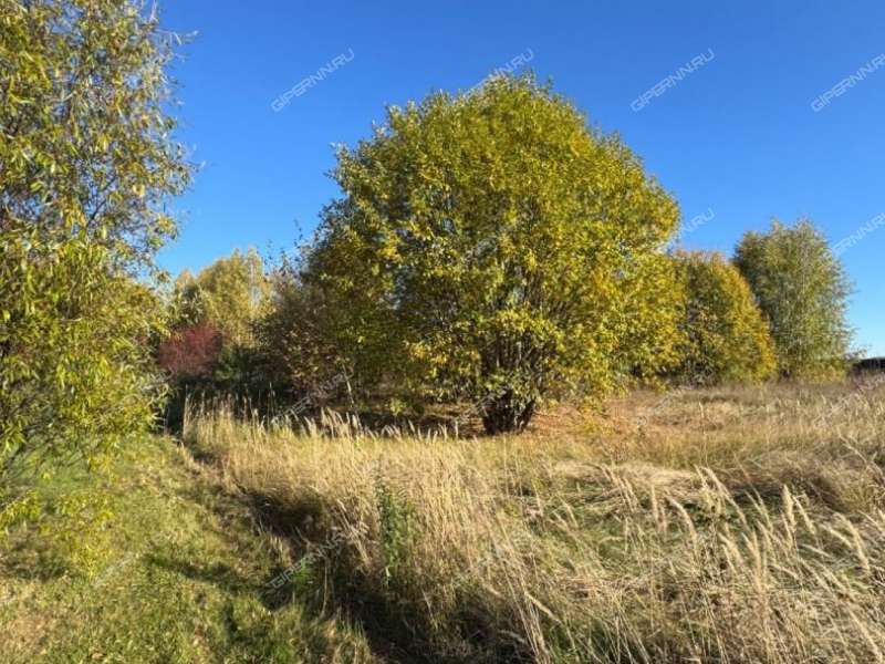 земельный участок 30 соток улица Ленина село Разнежье