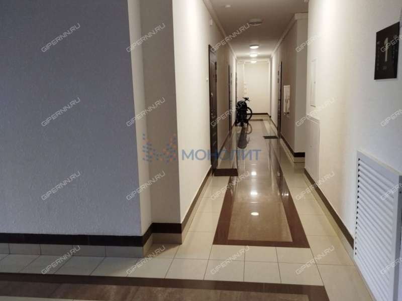 однокомнатная квартира на Русской улице улице дом 4 деревня Анкудиновка