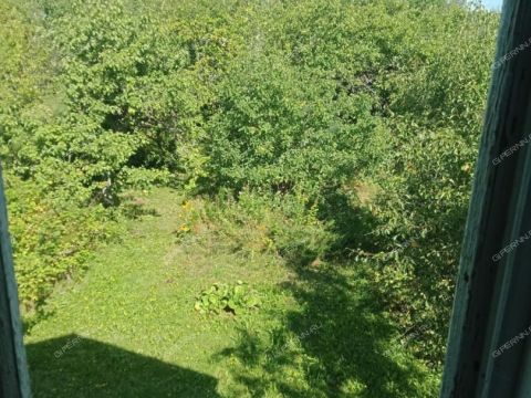 dacha-derevnya-zimenki-bogorodskiy-municipalnyy-okrug фото