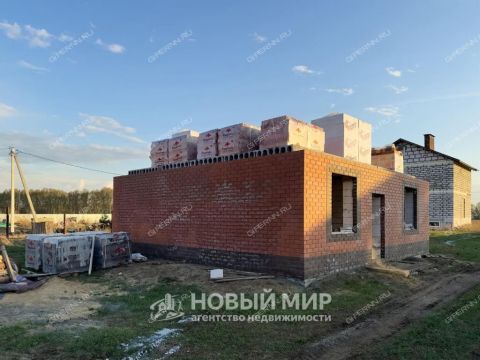 kottedzh-derevnya-tushnino-gorodskoy-okrug-bor фото