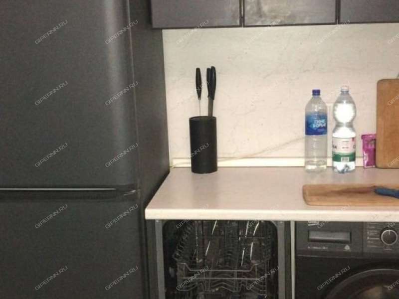 двухкомнатная квартира на Русской улице улице дом 9 деревня Анкудиновка