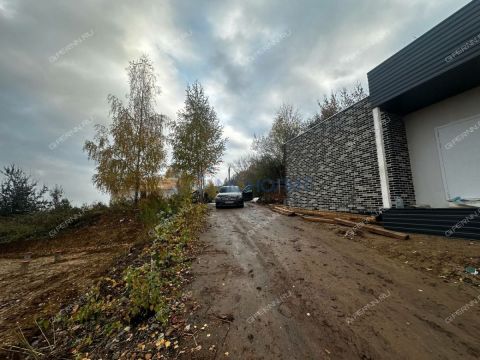 derevnya-afonino-kstovskiy-rayon фото