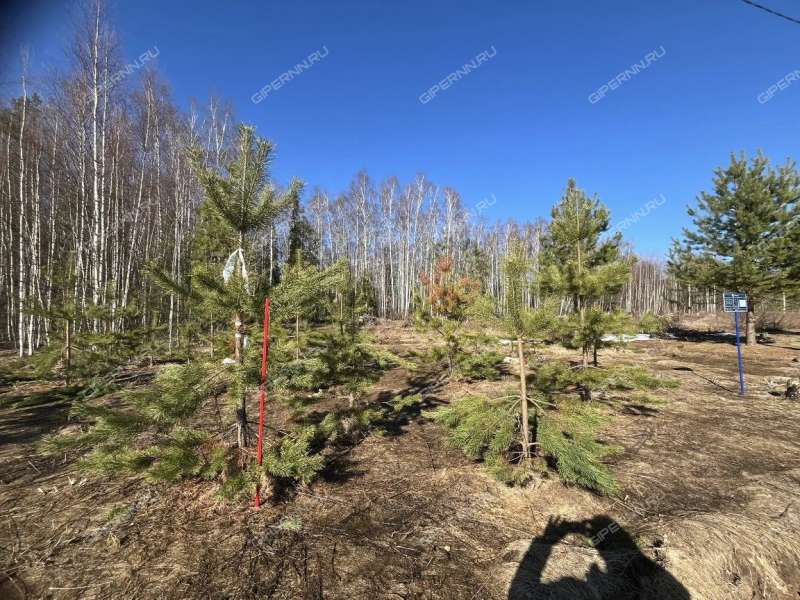 земельный участок под сельхоз назначение в Городецком районе Нижегородской области